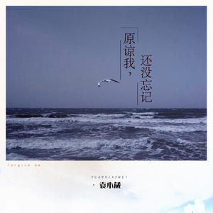 成人黄漫画在线❤️免费
