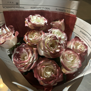 成人黄漫画在线❤️免费
