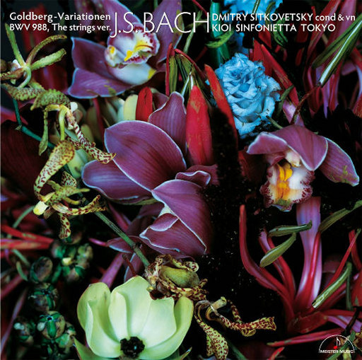 成人黄漫画在线❤️免费
